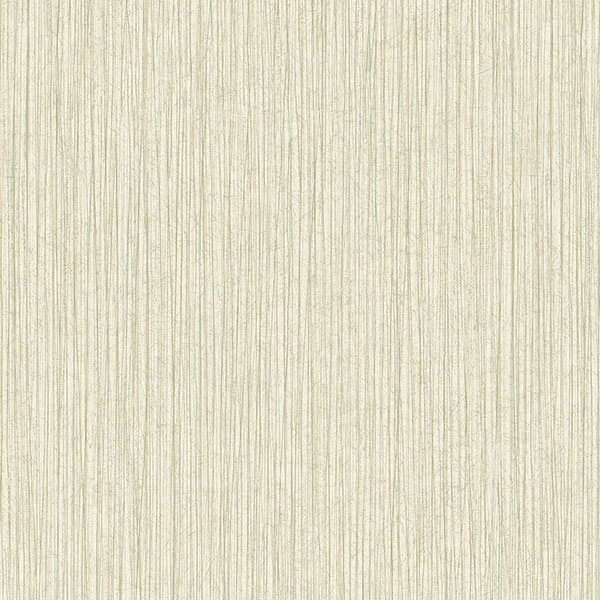 Patton Wallcoverings NT33715 Wall Finishes Tokyo Textue Wallpaper